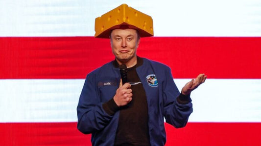 Democrats target Musk after Schimel loss in Wisconsin court race